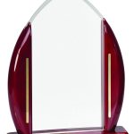 CAA31