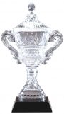 Crystal Vase with Presentation box