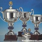 Trophy Cups, Silver Plated, On Mahogany Base- Lid Not Included 1