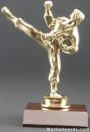Male Karate Trophy 1