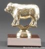 Beef Cow Trophy 1
