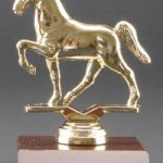 Tennessee Walker Trophy 1