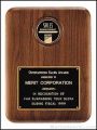Plaque – CAM Plaques 1