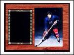 Plaque - Photo Plaques with Engravable Plate
