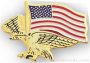 7/8″ Etched Soft Enamel Eagle Flag Chenille Letter Pin 1
