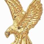 7/8″ Eagle Chenille Letter Insert Pins 1