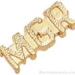7/8″ Manger Chenille Letter Insert Pins 1