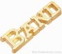 1 1/4″ Band Chenille Letter Insert Pins 1