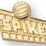 Volleyball Spike 1