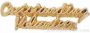 1 1/8″ Outstanding Volunteer Chenille Letter Insert Pins 1