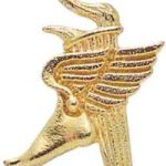 1″ Winged Foot Torch Chenille Letter Insert Pins 1