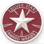 1″ Silver Star Award Lapel Pin 1