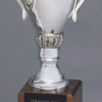 Trophy Cup – Silver Plated Trophy Cup on Walnut Base 1
