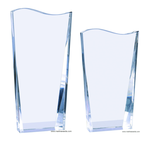 Wave Fan Award