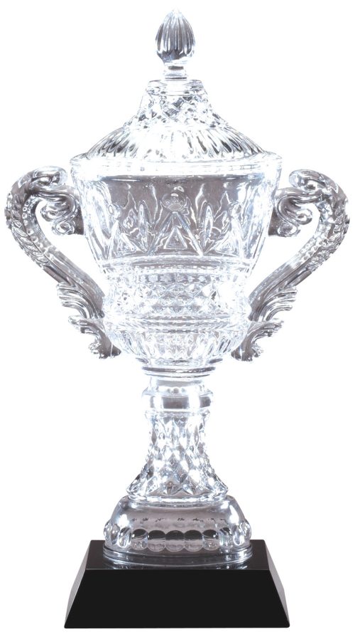 Crystal Vase with Presentation box