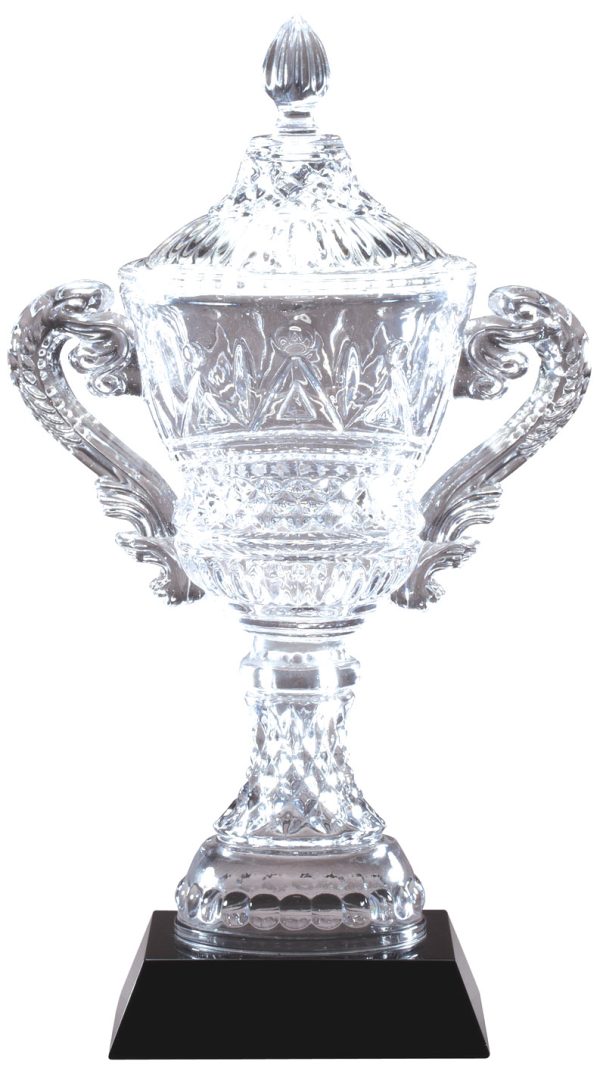 Crystal Vase with Presentation box