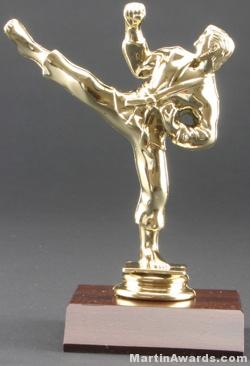 Male Karate Trophy 1