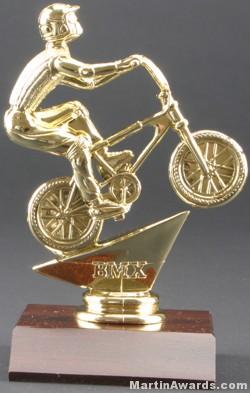 BMX Trophy 1