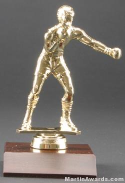 Male Boxer Trophy 1