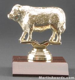 Beef Cow Trophy 1