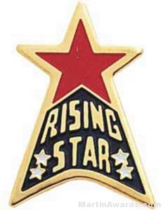 15/16″ Etched Soft Enamel Rising Star Chenille Letter Pin 1