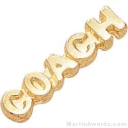1 1/8″ Coach Chenille Letter Insert Pins 1