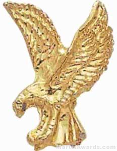 7/8″ Eagle Chenille Letter Insert Pins 1