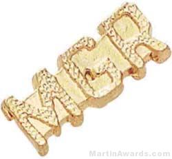 7/8″ Manger Chenille Letter Insert Pins 1