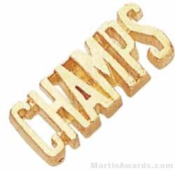 7/8″ Champs Chenille Letter Insert Pins 1
