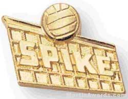 Volleyball Spike 1