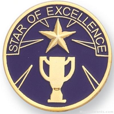 1″ Star Of Excellence Lapel Pin 1