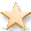 5/8″ Gold Star Lapel Pin 1